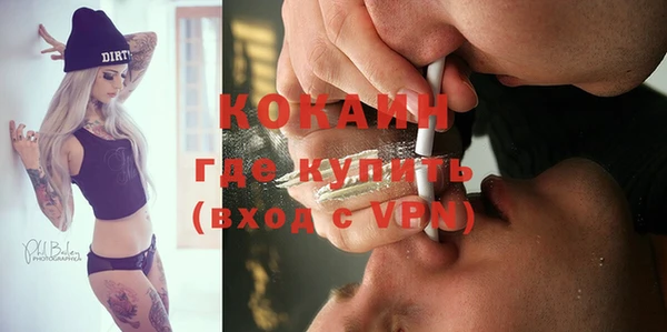 гашик Майский