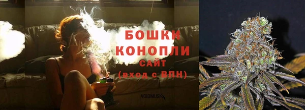 молекула духа Долгопрудный