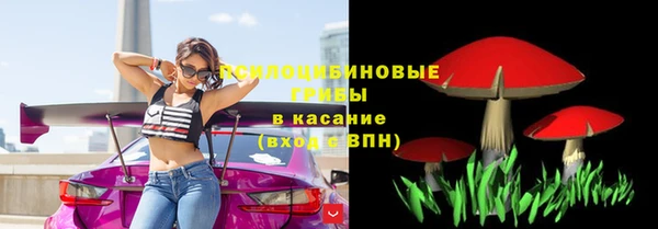 хмурый Орехово-Зуево
