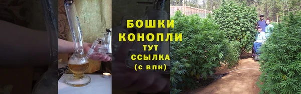 прущий лед Богданович