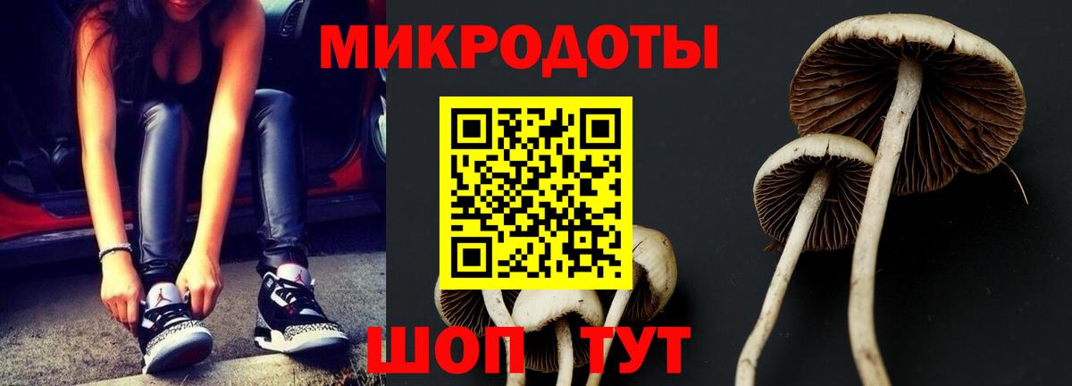 Псилоцибиновые грибы Psilocybe  Воткинск 